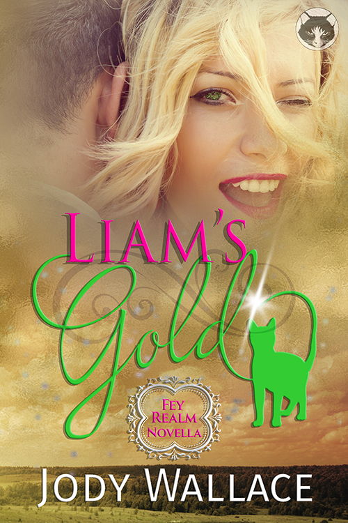 the book cover for liam's gold by jody wallace