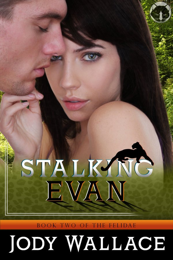 the cover for stalking evan by jody wallace